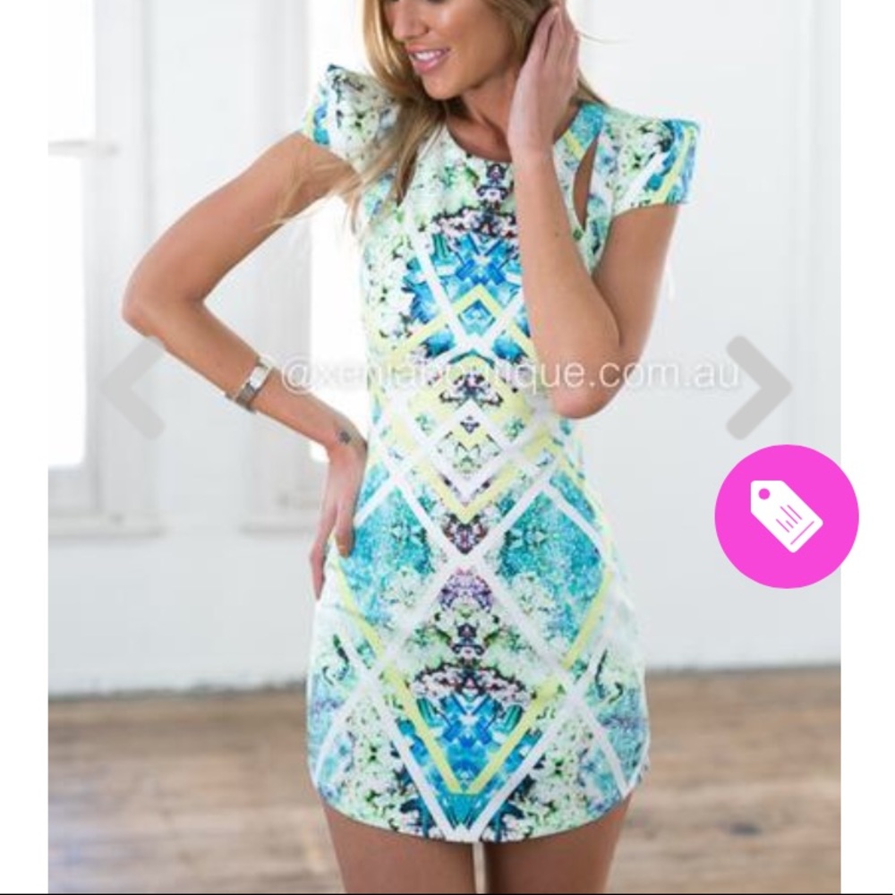 Xenia Boutique Zara Dress